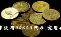 如何在TP钱包中使用BRC20代