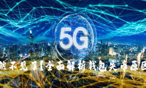 TP钱包币突然不见了？全面解析钱包失币原因及解决方案