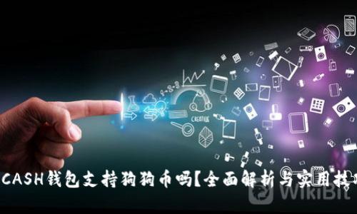 KCASH钱包支持狗狗币吗？全面解析与实用技巧