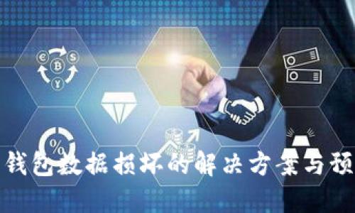 比特币钱包数据损坏的解决方案与预防措施