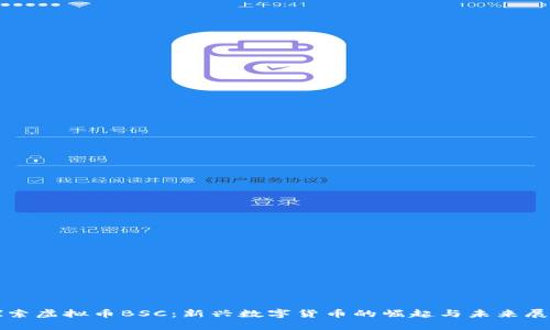 探索虚拟币BSC：新兴数字货币的崛起与未来展望