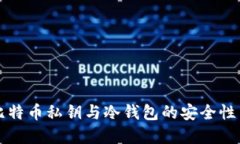 深入了解比特币私钥与冷钱包的安全性与使用方