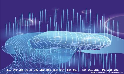 如何将BG币提取到TP钱包：详细操作指南