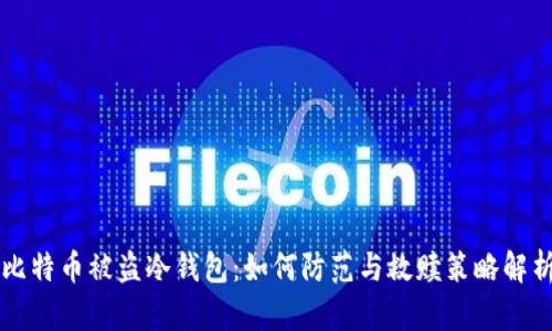 比特币被盗冷钱包：如何防范与救赎策略解析