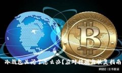  冷钱包关闭了怎么办？应对措施与恢复指南
