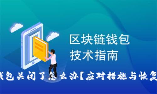  冷钱包关闭了怎么办？应对措施与恢复指南