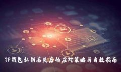 TP钱包私钥丢失后的应对策略与自救指南