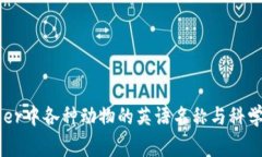 Ledger中各种动物的英语名