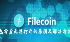 TP钱包分身无法打开的原因及解决方法详解