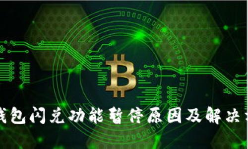 TP钱包闪兑功能暂停原因及解决方案