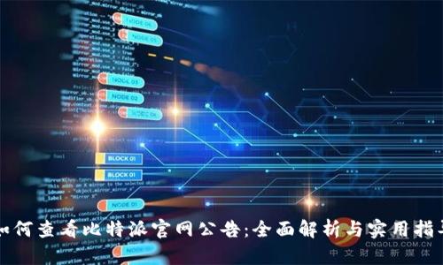 如何查看比特派官网公告：全面解析与实用指导