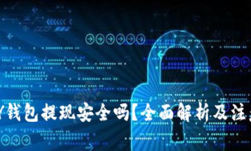 KDPAY钱包提现安全吗？全面解析及注意事项