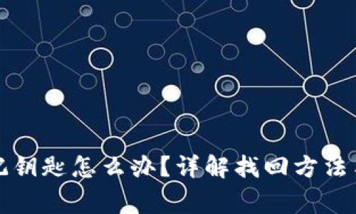 TP钱包忘记钥匙怎么办？详解找回方法与注意事项