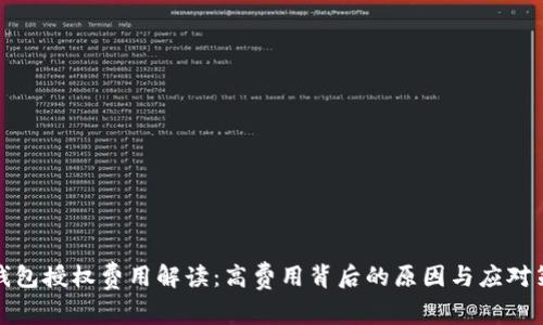 TP钱包授权费用解读：高费用背后的原因与应对策略