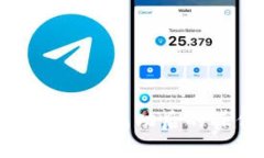 : TP钱包提现成功后的操作