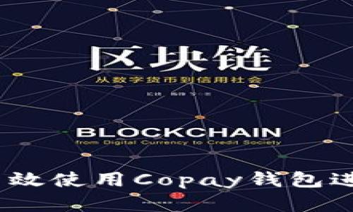 全面解析：如何高效使用Copay钱包进行加密货币管理