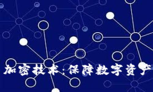 冷钱包芯片加密技术：保障数字资产安全的未来