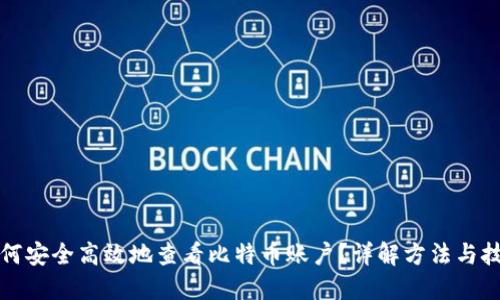 如何安全高效地查看比特币账户？详解方法与技巧