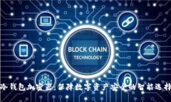 冷钱包加密器：保障数字