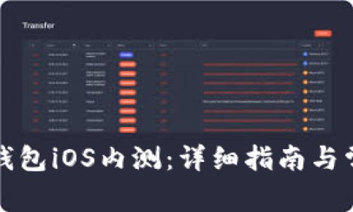 如何参与TP钱包iOS内测：详细指南与常见问题解答