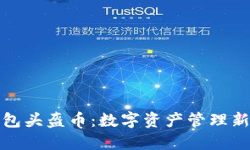 TP钱包头盔币：数字资产管理新选择