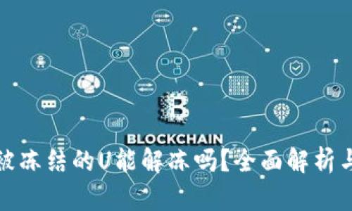 冷钱包里被冻结的U能解冻吗？全面解析与解决方案