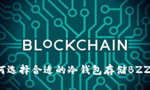 如何选择合适的冷钱包存储BZZ币？