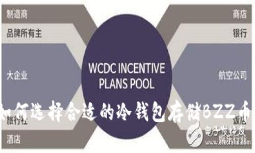 如何选择合适的冷钱包存储BZZ币？