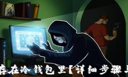 
怎样把钱存在冷钱包里？详细步骤与注意事项