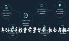 2023年BHD币投资前景分析：