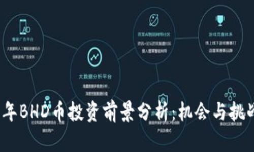 2023年BHD币投资前景分析：机会与挑战并存