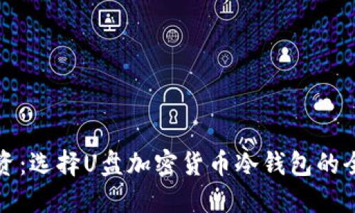 安全投资：选择U盘加密货币冷钱包的全面指南