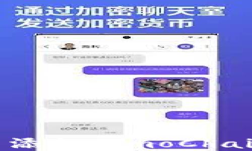 
如何在TP钱包中添加TomoChain地址：详细指南