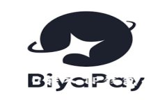 如何将火币U转入TP钱包的