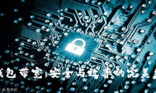 冷钱包带宽：安全与效率的完美结合