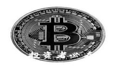 TP钱包涨幅分析：投资者必