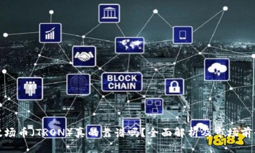 波场币（TRON）真的靠谱吗？全面解析及市场前景