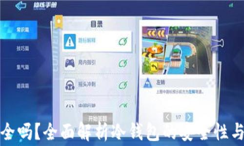 
冷钱包存钱安全吗？全面解析冷钱包的安全性与使用注意事项