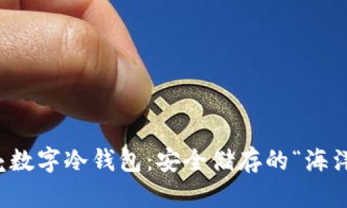 小贝壳数字冷钱包：安全储存的“海洋珍珠”