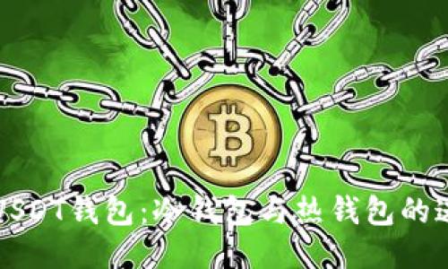 交易所USDT钱包：冷钱包与热钱包的迷雾探秘