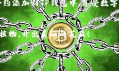 如何在TP钱包中添加BNB合约