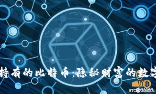 中本聪持有的比特币：隐秘财富的数字藏宝图