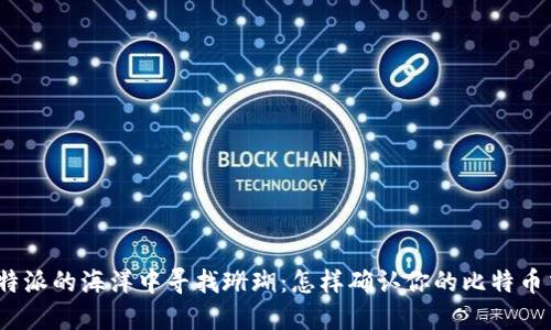 在比特派的海洋中寻找珊瑚：怎样确认你的比特币交易？