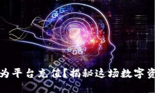 冷钱包是否能为平台充值？揭秘这场数字资产的冷暖游戏