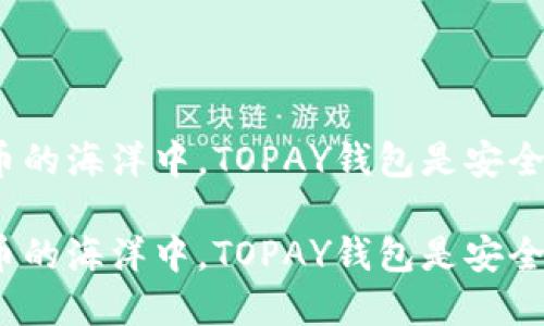 在数字货币的海洋中，TOPAY钱包是安全的航船吗？

在数字货币的海洋中，TOPAY钱包是安全的航船吗？
