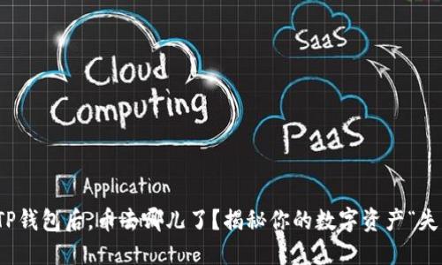 提币到TP钱包后，币去哪儿了？揭秘你的数字资产“失踪”之谜