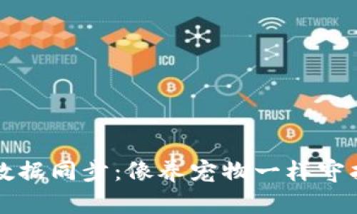 “百币网冷钱包数据同步：像养宠物一样守护你的加密资产”