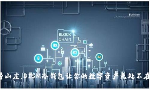 像夏天的避暑山庄，DISM冷钱包让你的数字资产无处不在，安全又方便