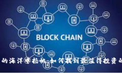 在虚拟币的海洋中扬帆：