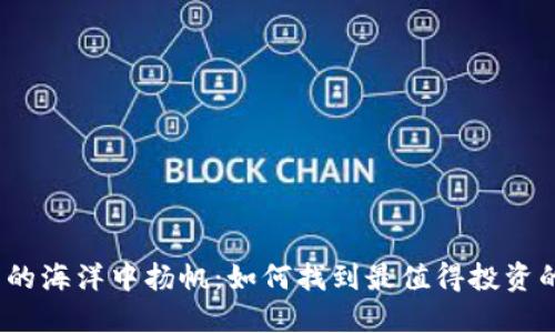 在虚拟币的海洋中扬帆：如何找到最值得投资的那艘船？